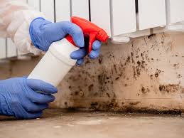 Best Crawl Space Mold Remediation  in Lindale, GA